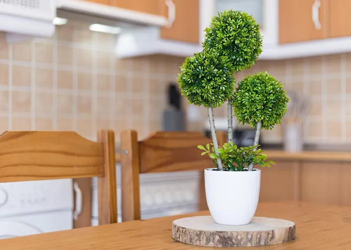 Appartement 2br El House - Private Terrace Cotillo