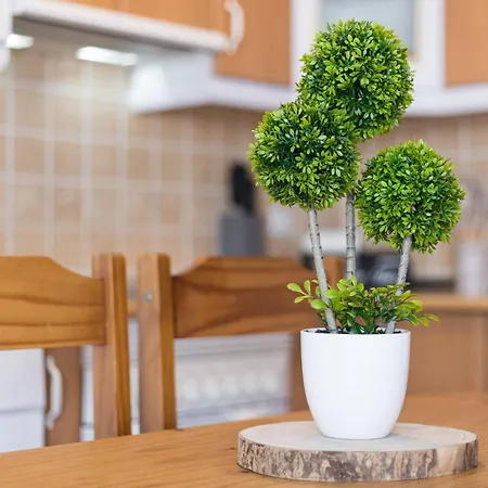 شقة 2br El House - Private Terrace Cotillo